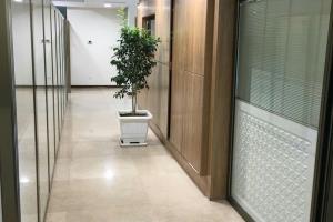 پارتیشن شیشه ایی  فریم لس